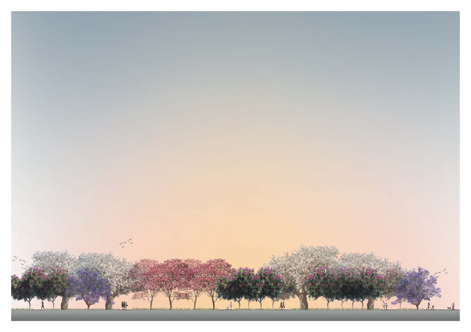 Imagem de um corte esquemático com enfoque no paisagismo escolhido para um dos trecho do loteamento do Jardim da Serra